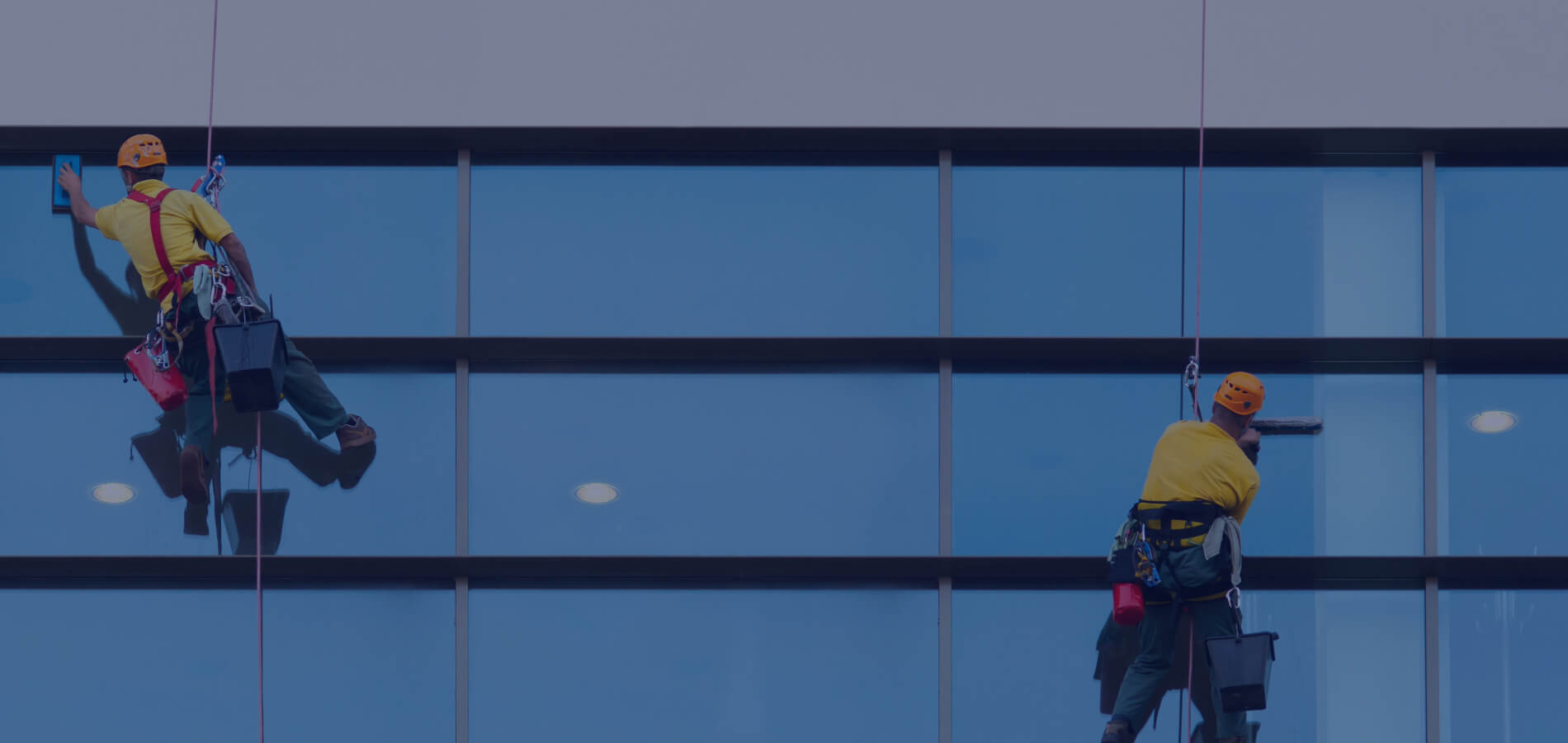 Moderner Wohnkomplex mit gepflegter Gartenanlage und Gehwegen.